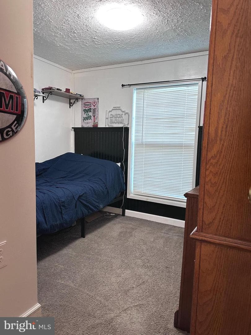 160 Stefanko Lane photo 25