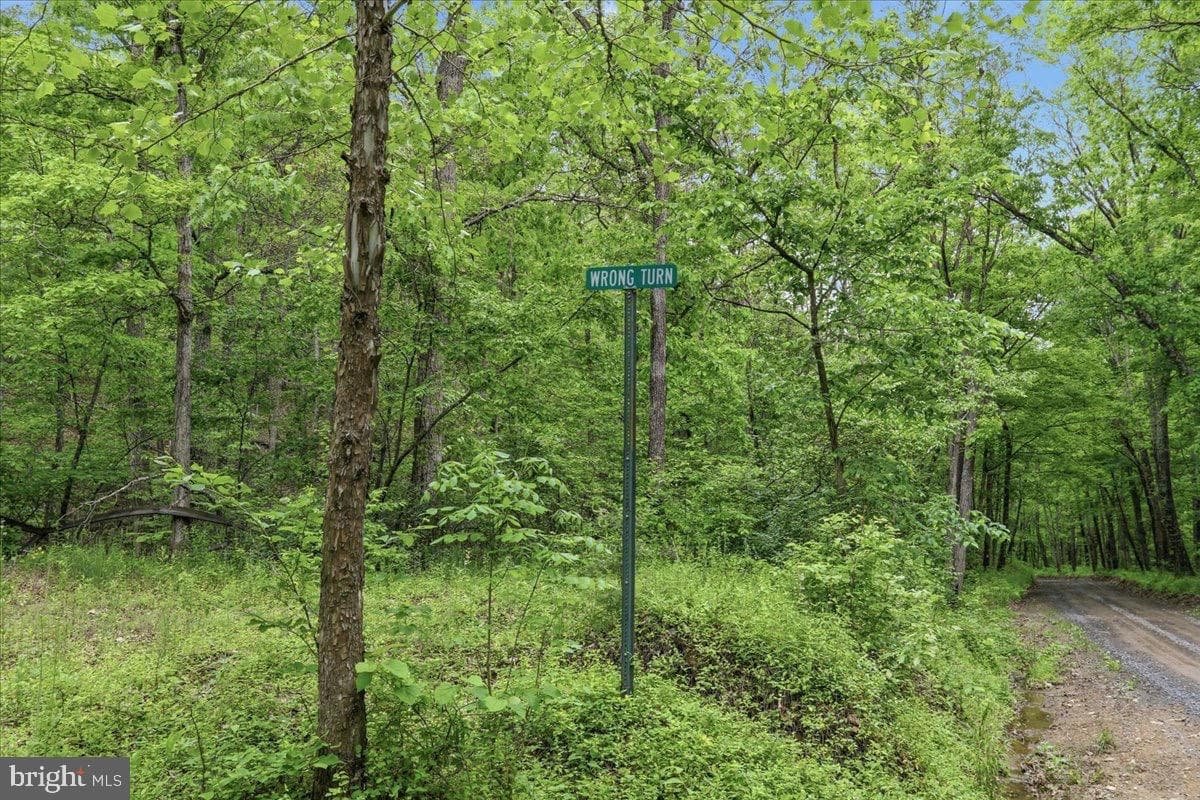 40.4 Ac Dave Moreland Rd, Slanesville