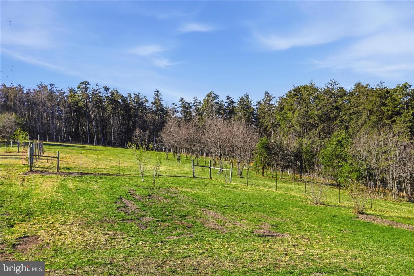 604 Locksa Road photo 41