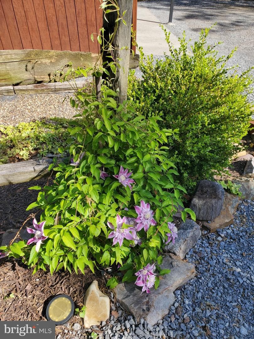330 Sideling Mountain Drive photo 105