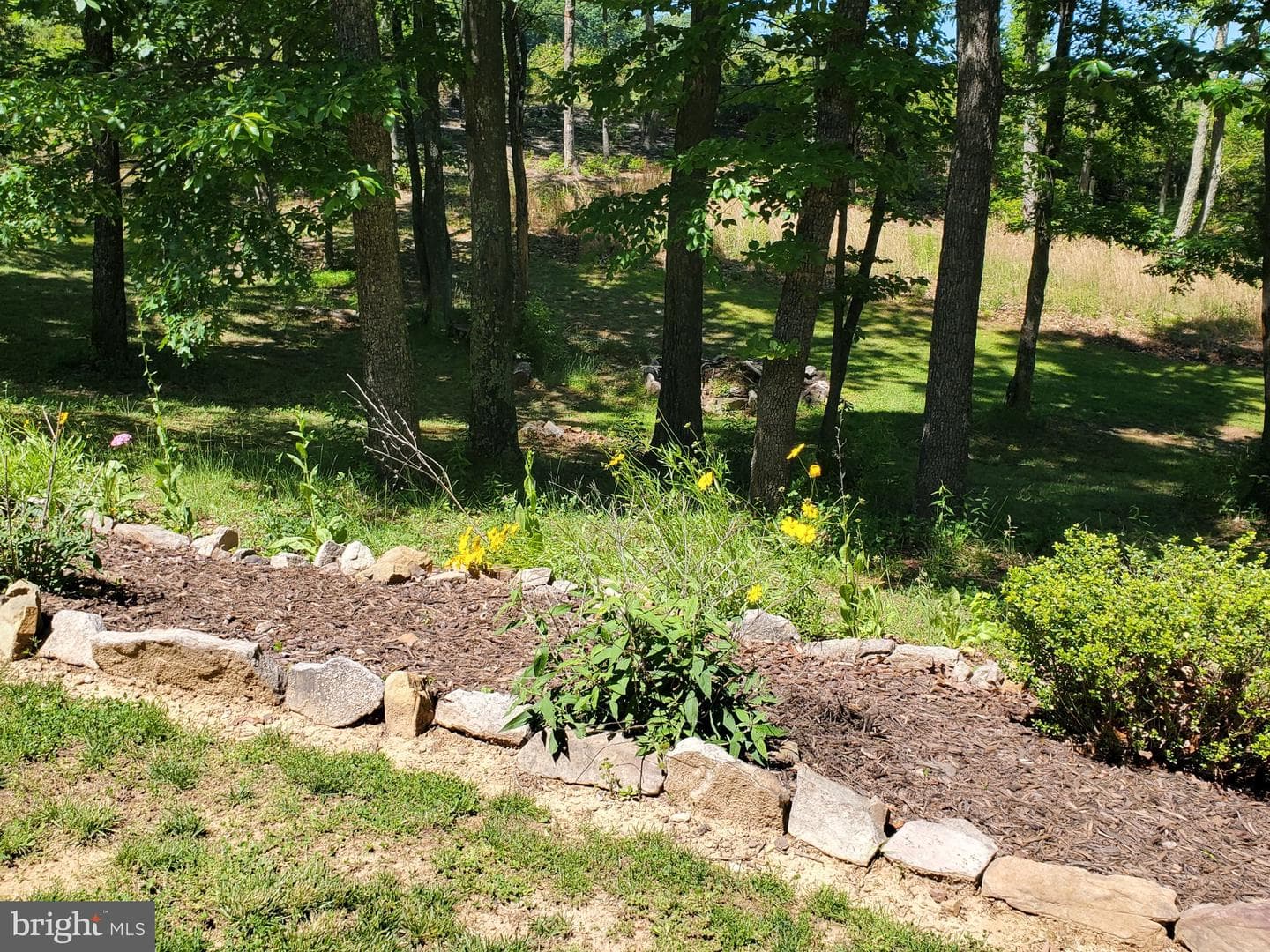 330 Sideling Mountain Drive photo 125