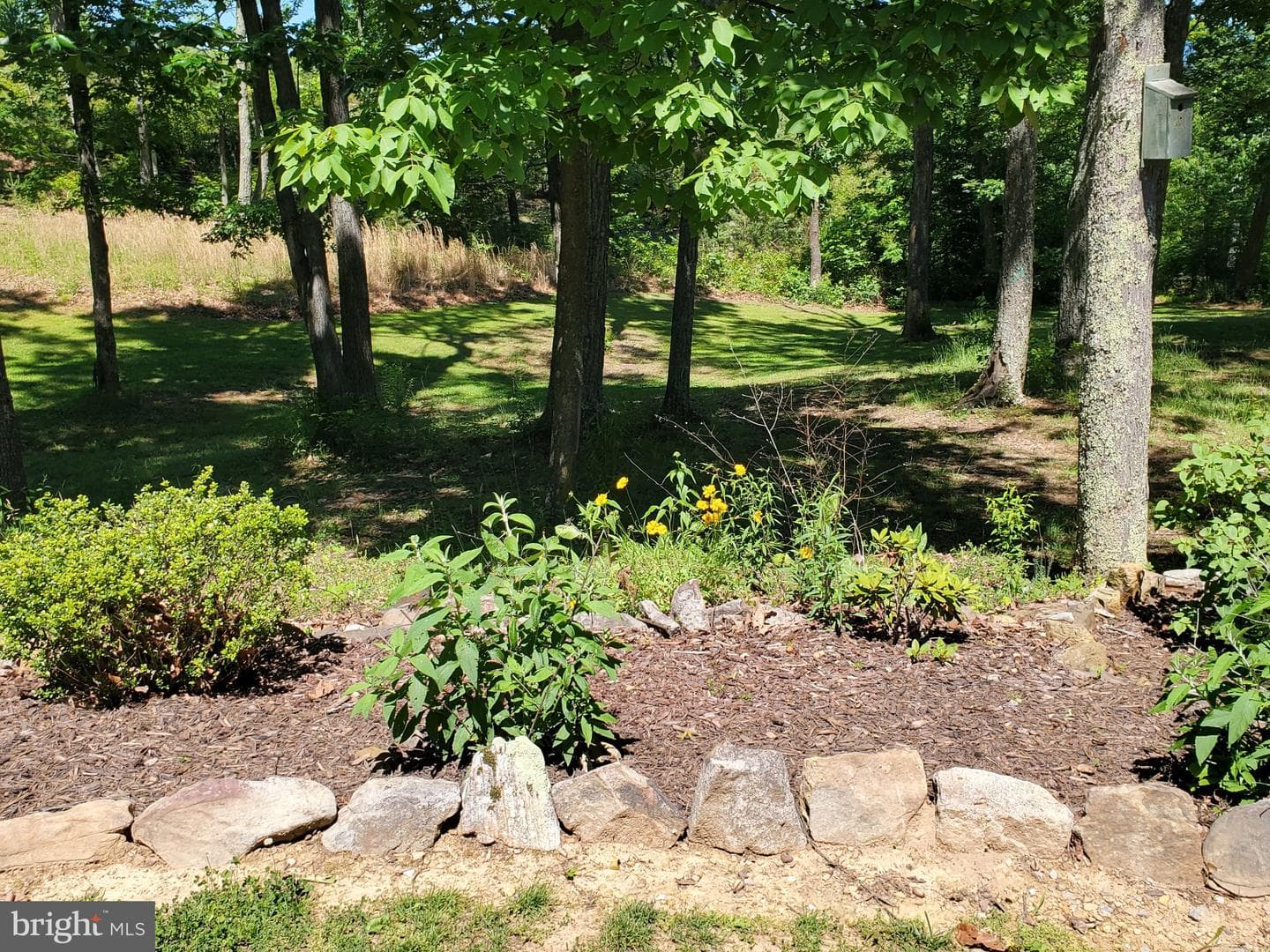 330 Sideling Mountain Drive photo 126