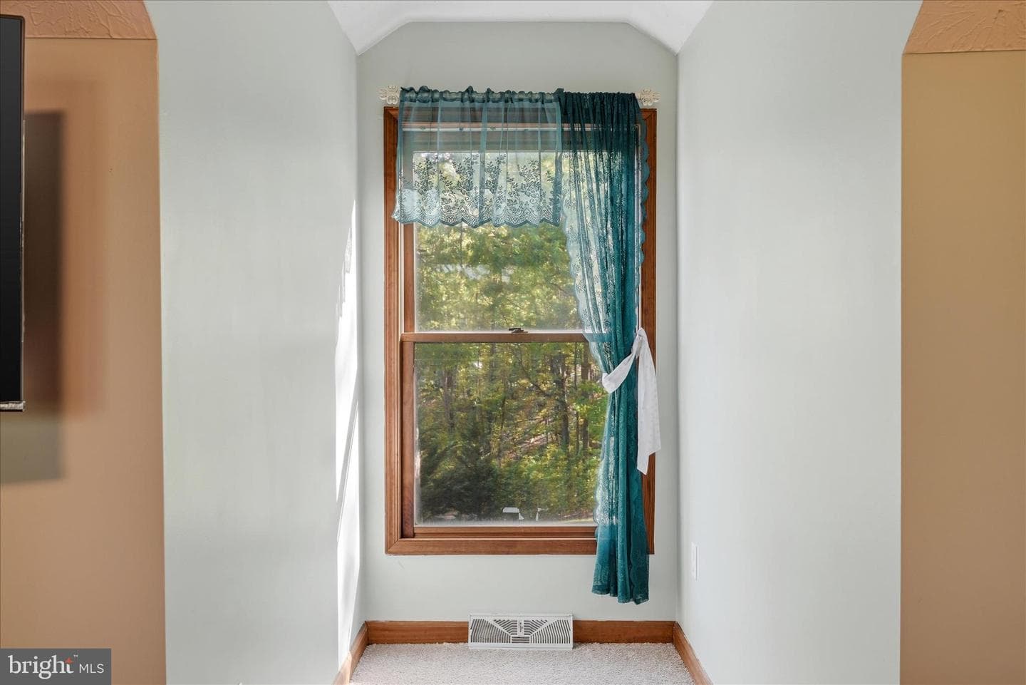 330 Sideling Mountain Drive photo 53