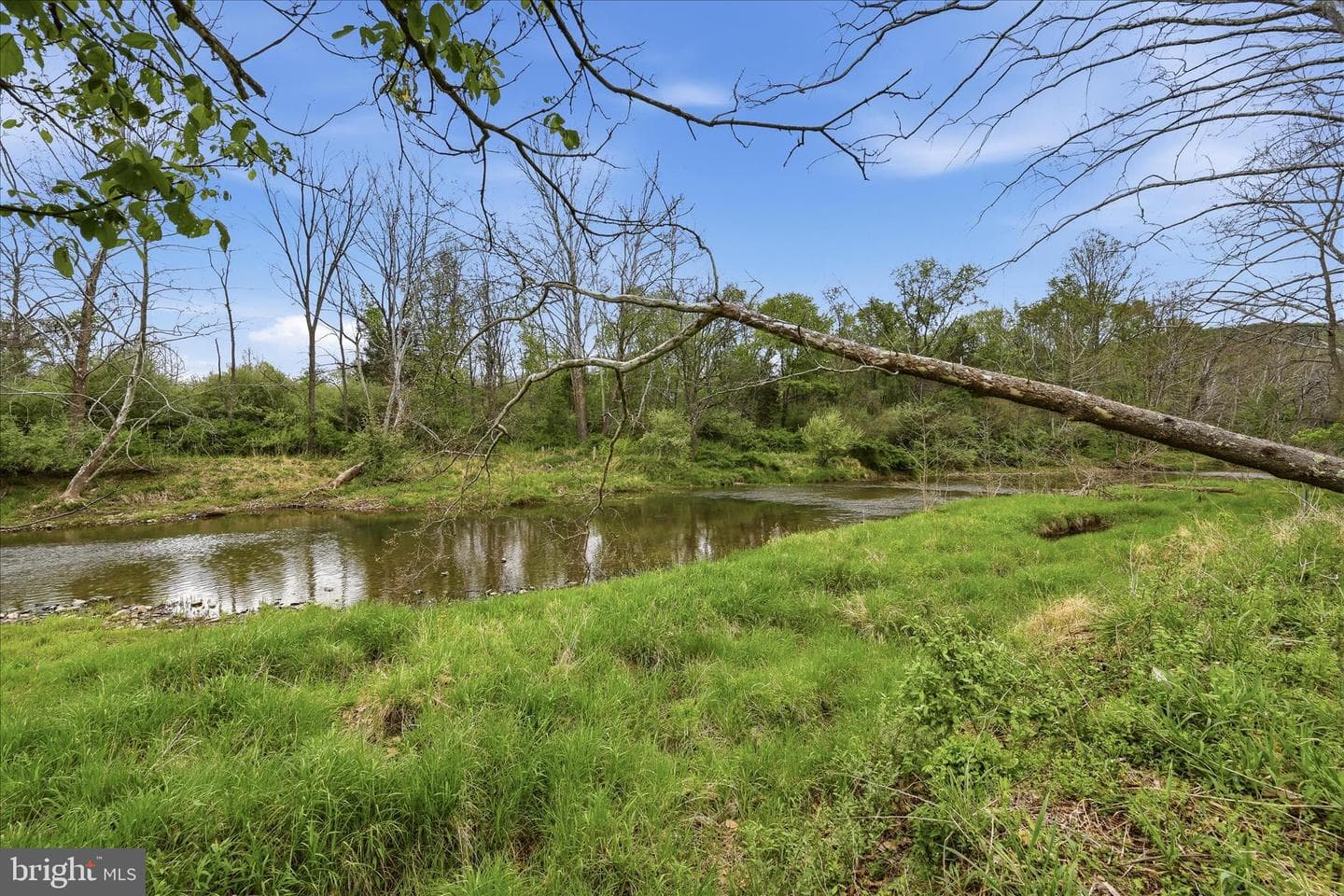 216 Cedar River Ln photo 26