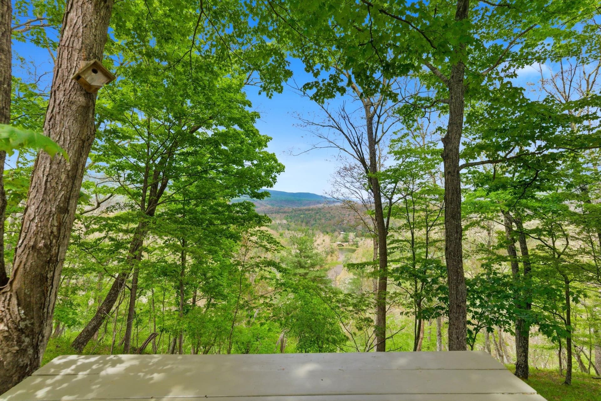500 Largent Heights Lane photo 74