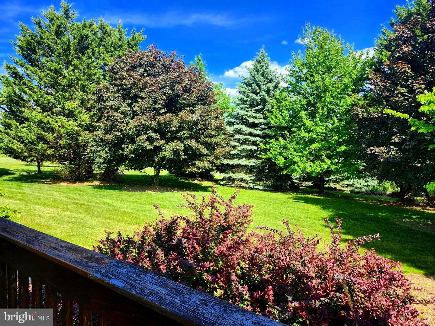 2362 Skyview Drive photo 11