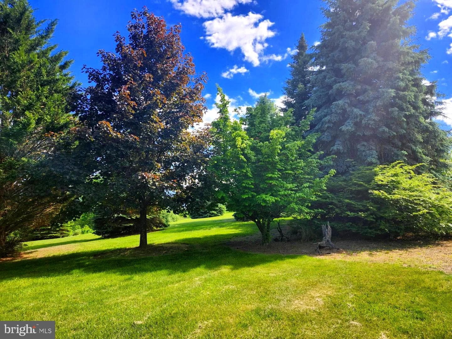 2362 Skyview Drive photo 9