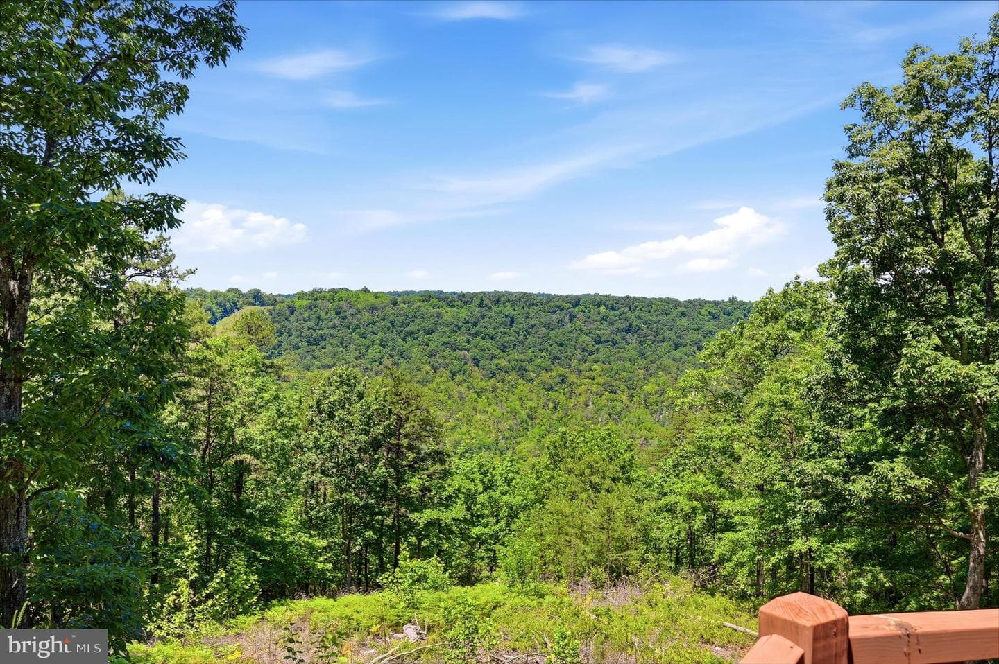 2315 Ritter Drive photo 48