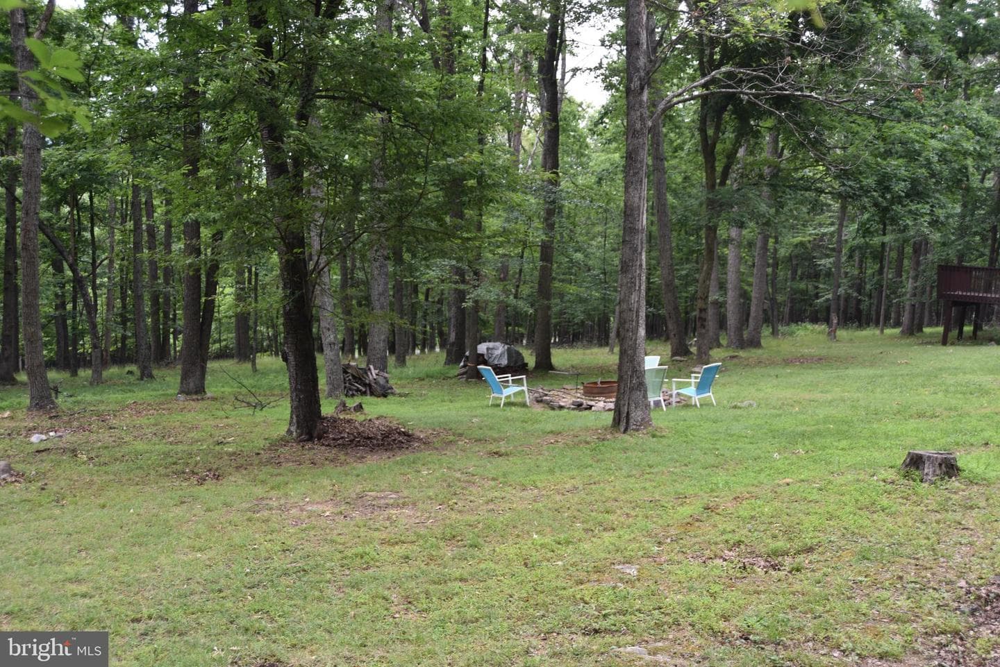 586 Cardinal View Road photo 10