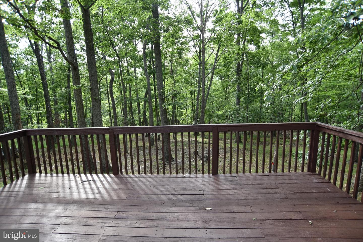 586 Cardinal View Road photo 20