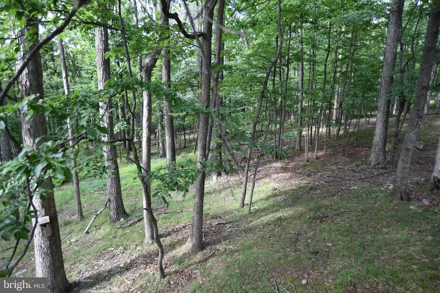 586 Cardinal View Road photo 22