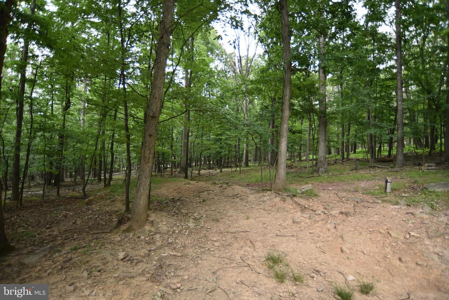 586 Cardinal View Road photo 6