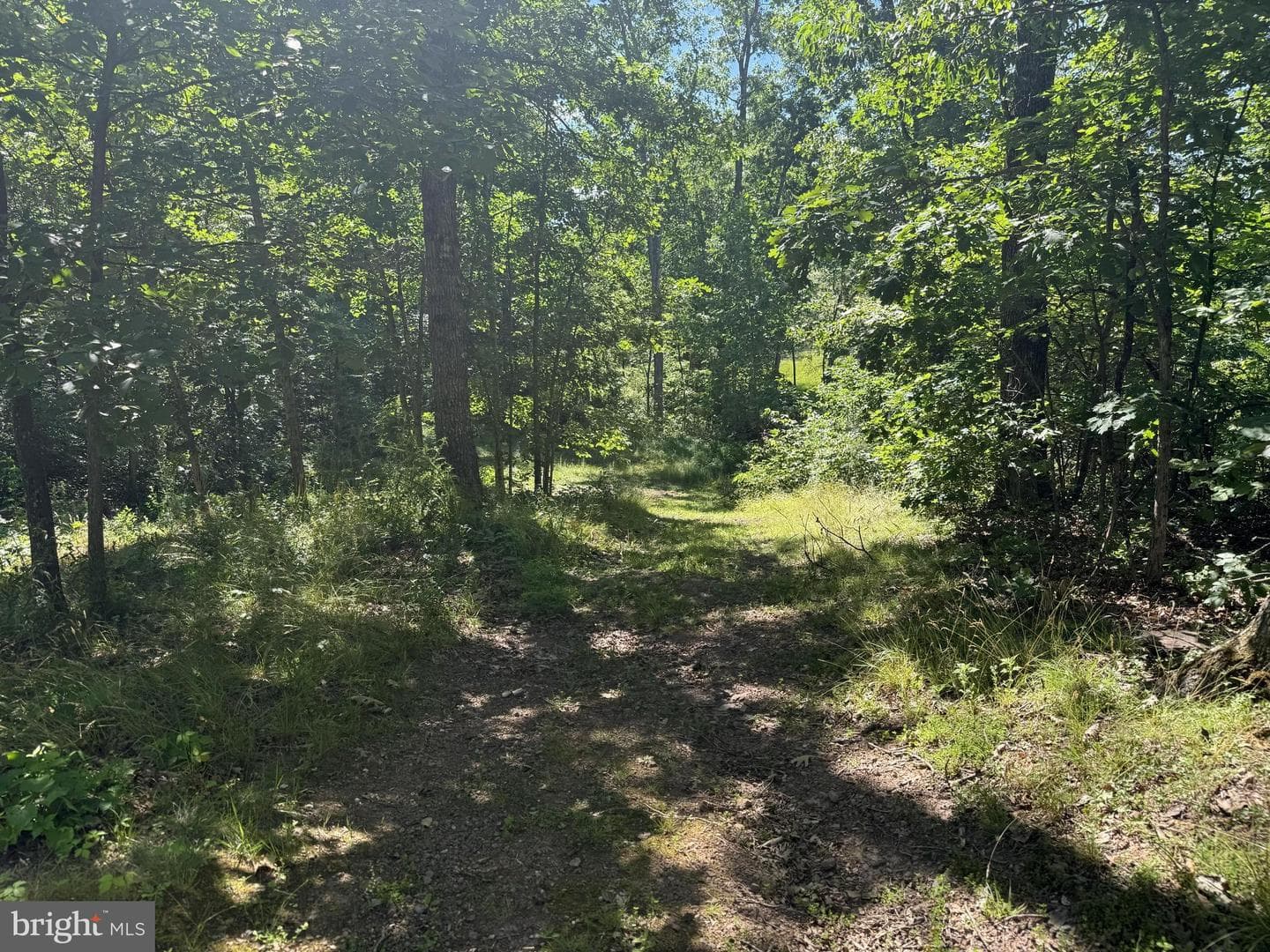 750 Hickory Corner Road photo 33