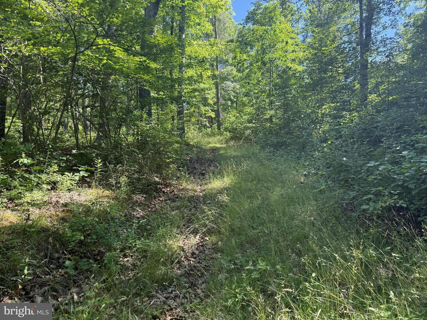 750 Hickory Corner Road photo 35