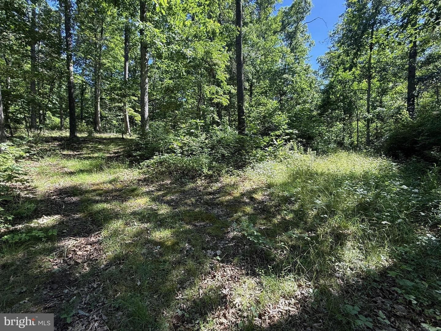 750 Hickory Corner Road photo 36