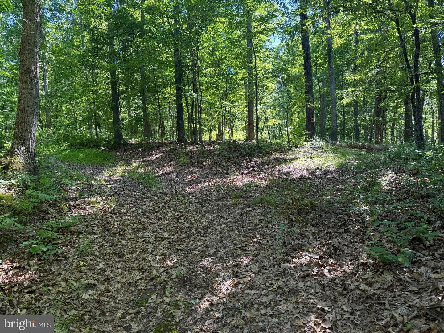 750 Hickory Corner Road photo 41