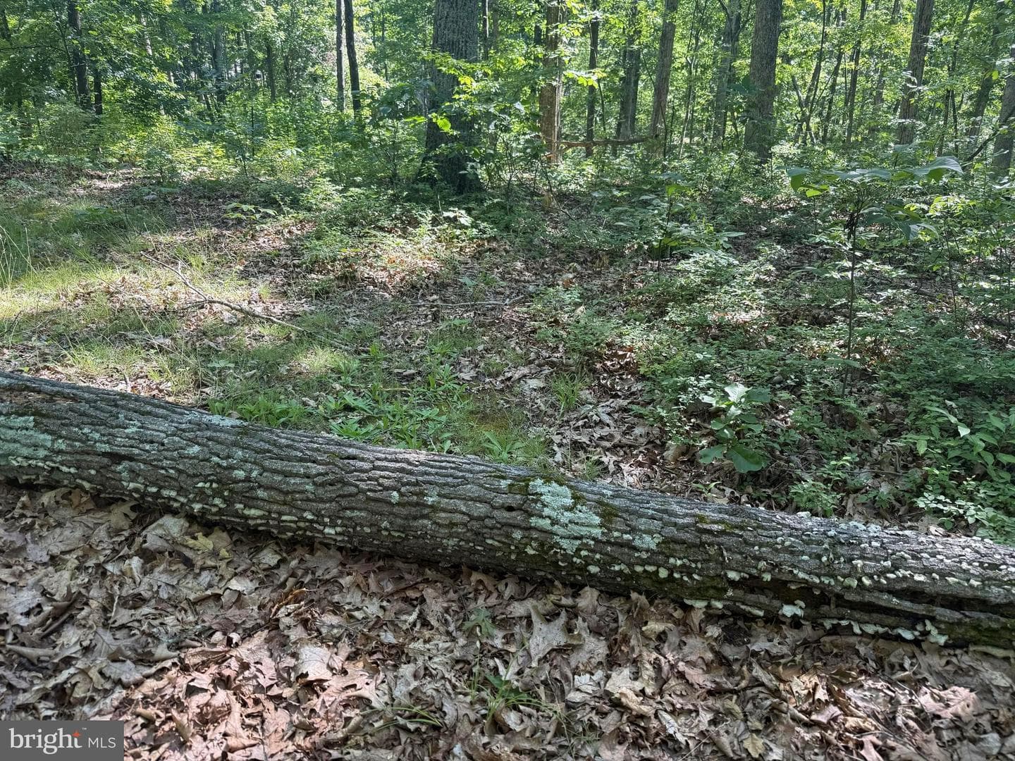750 Hickory Corner Road photo 43