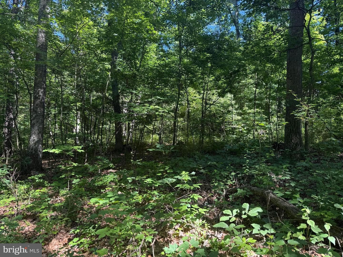 750 Hickory Corner Road photo 44