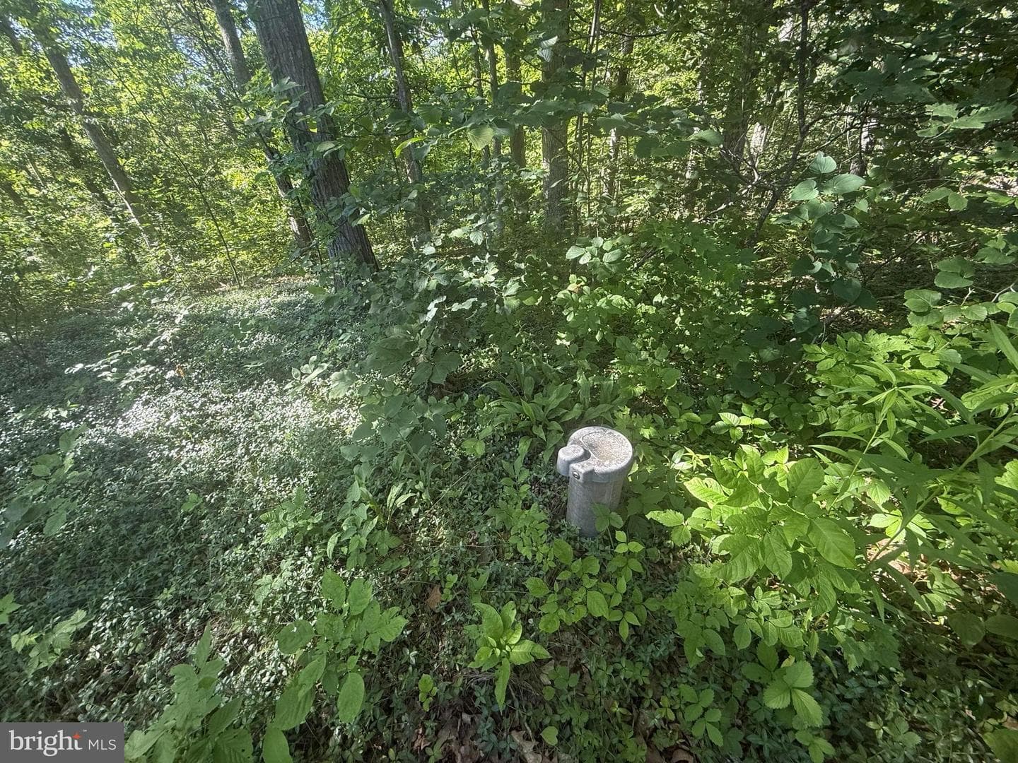 750 Hickory Corner Road photo 47