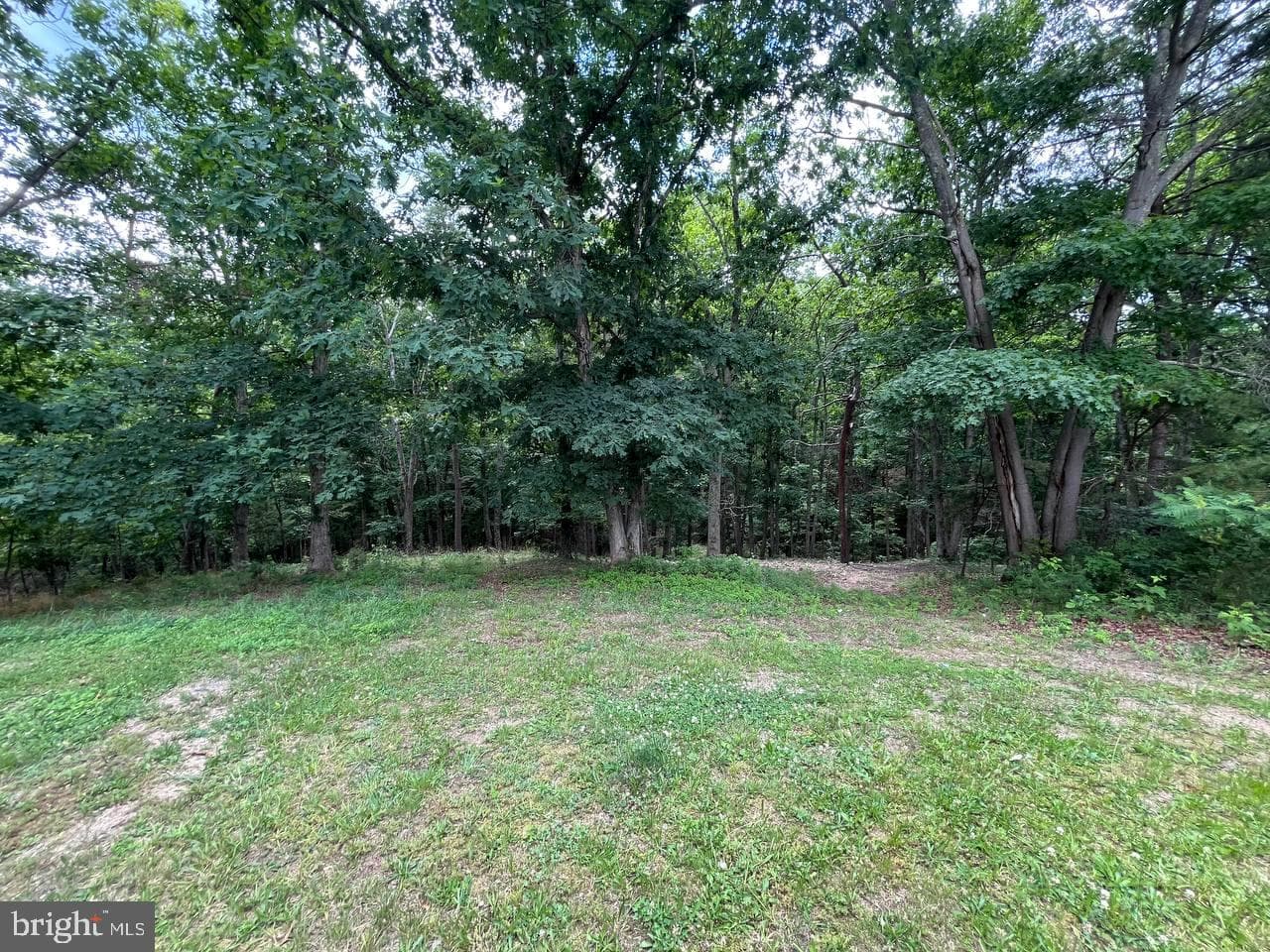 179 Angle Drive photo 10