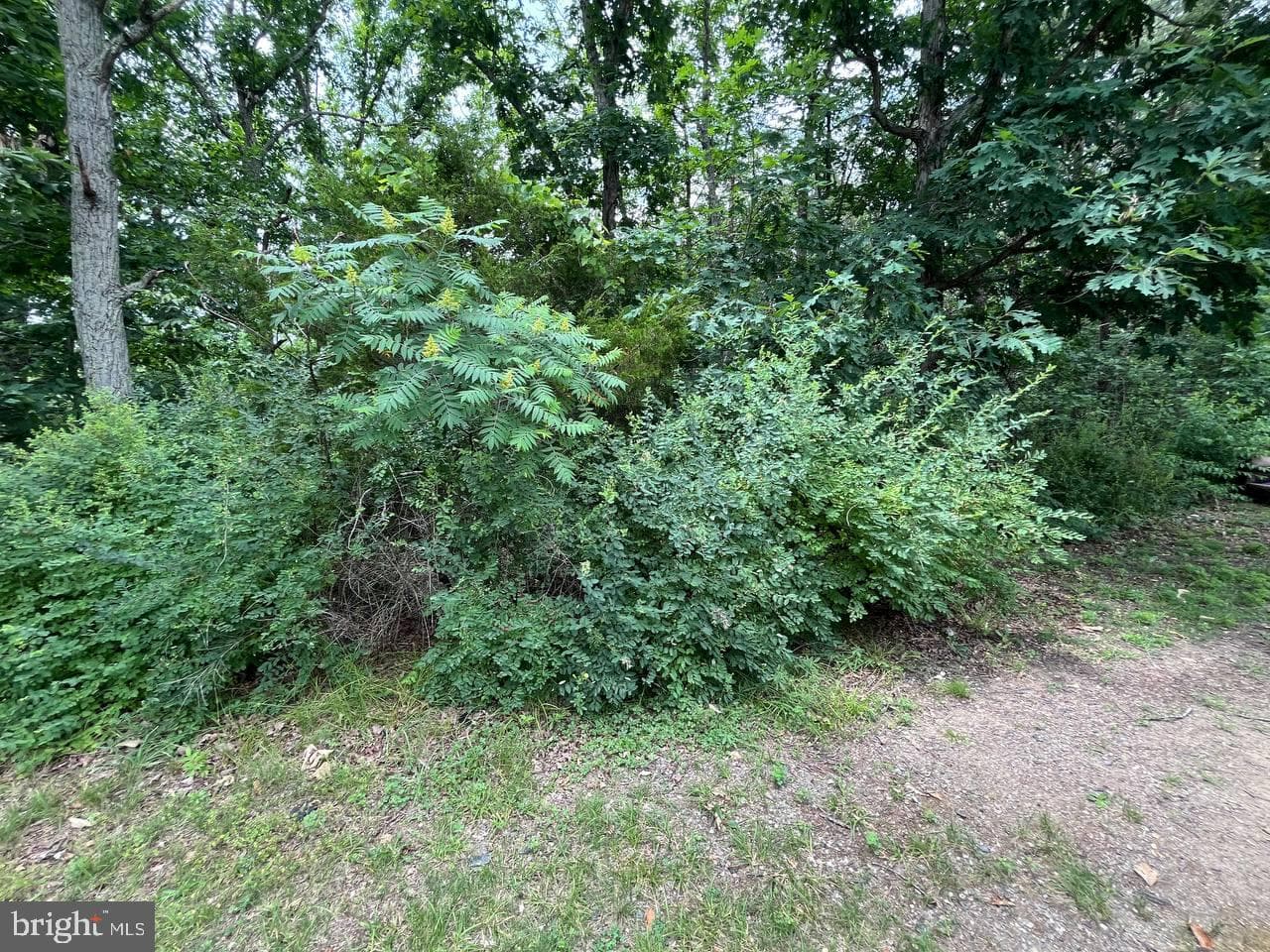 179 Angle Drive photo 15