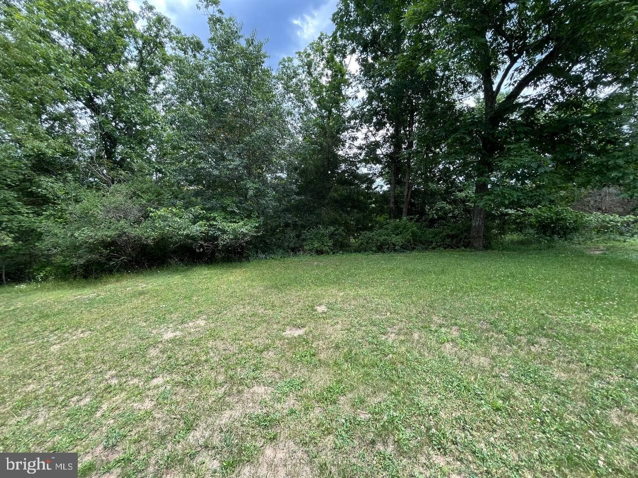 179 Angle Drive photo 27