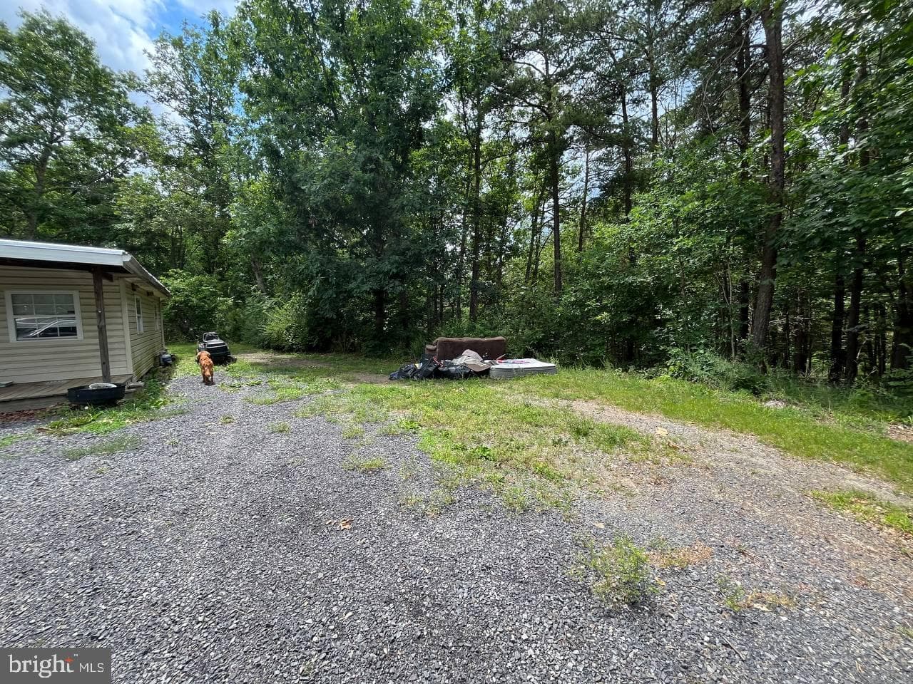 179 Angle Drive photo 4