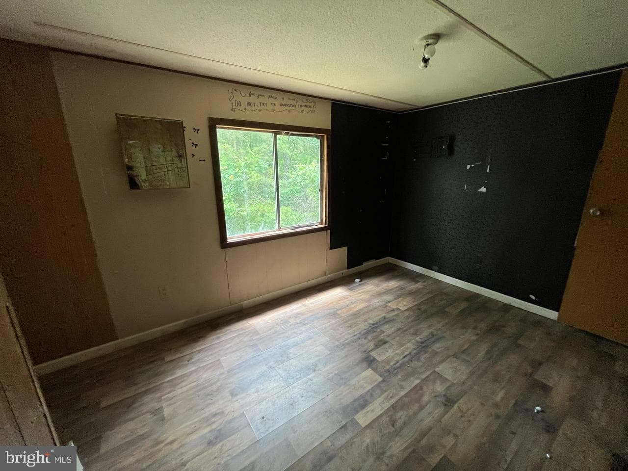 179 Angle Drive photo 42