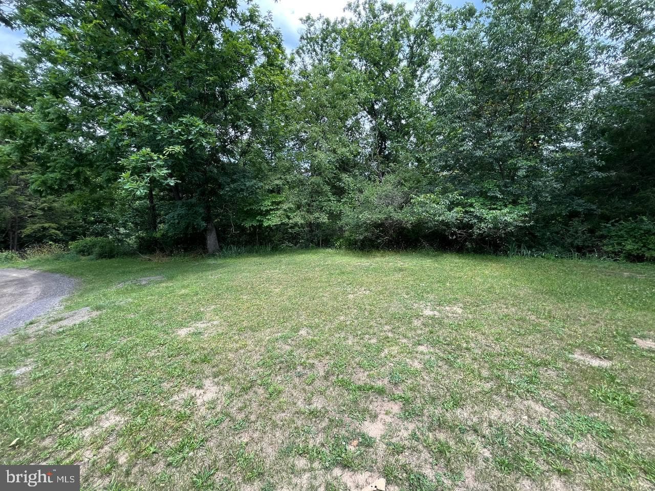 179 Angle Drive photo 5