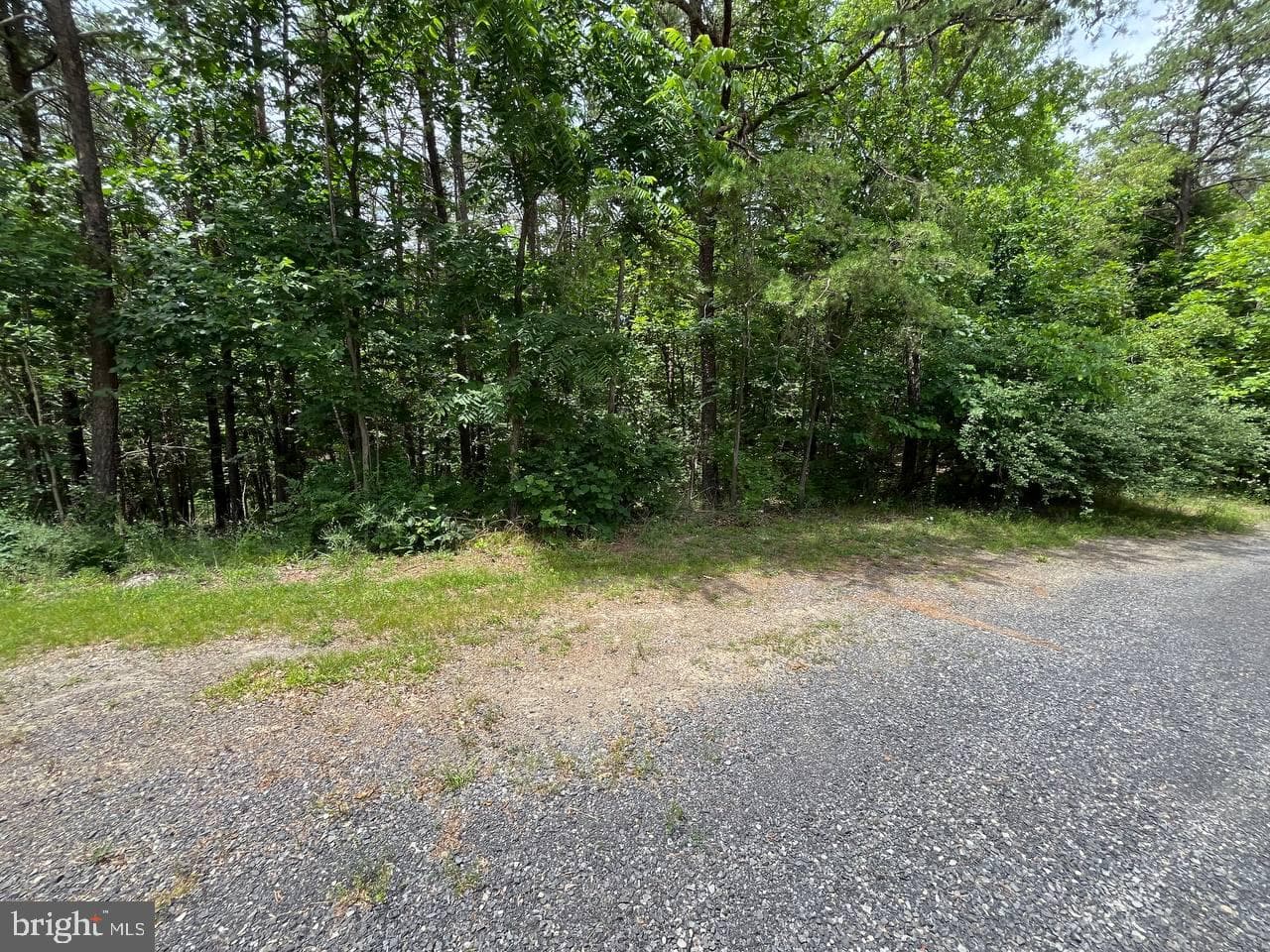 179 Angle Drive photo 9