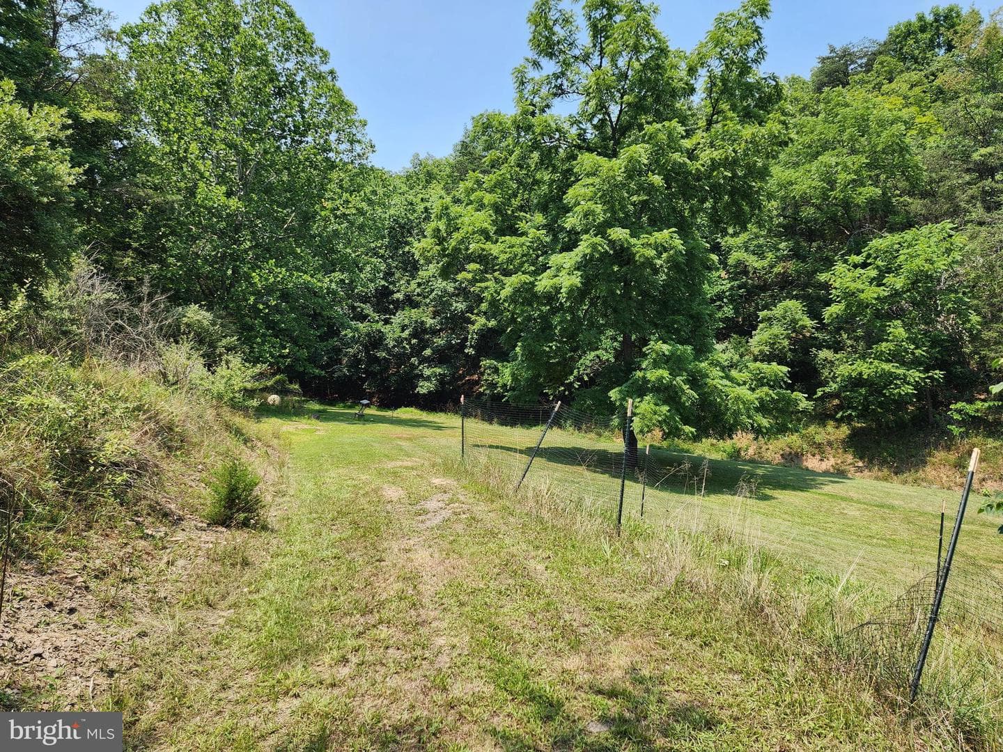 4078 Purgitsville Pike photo 53