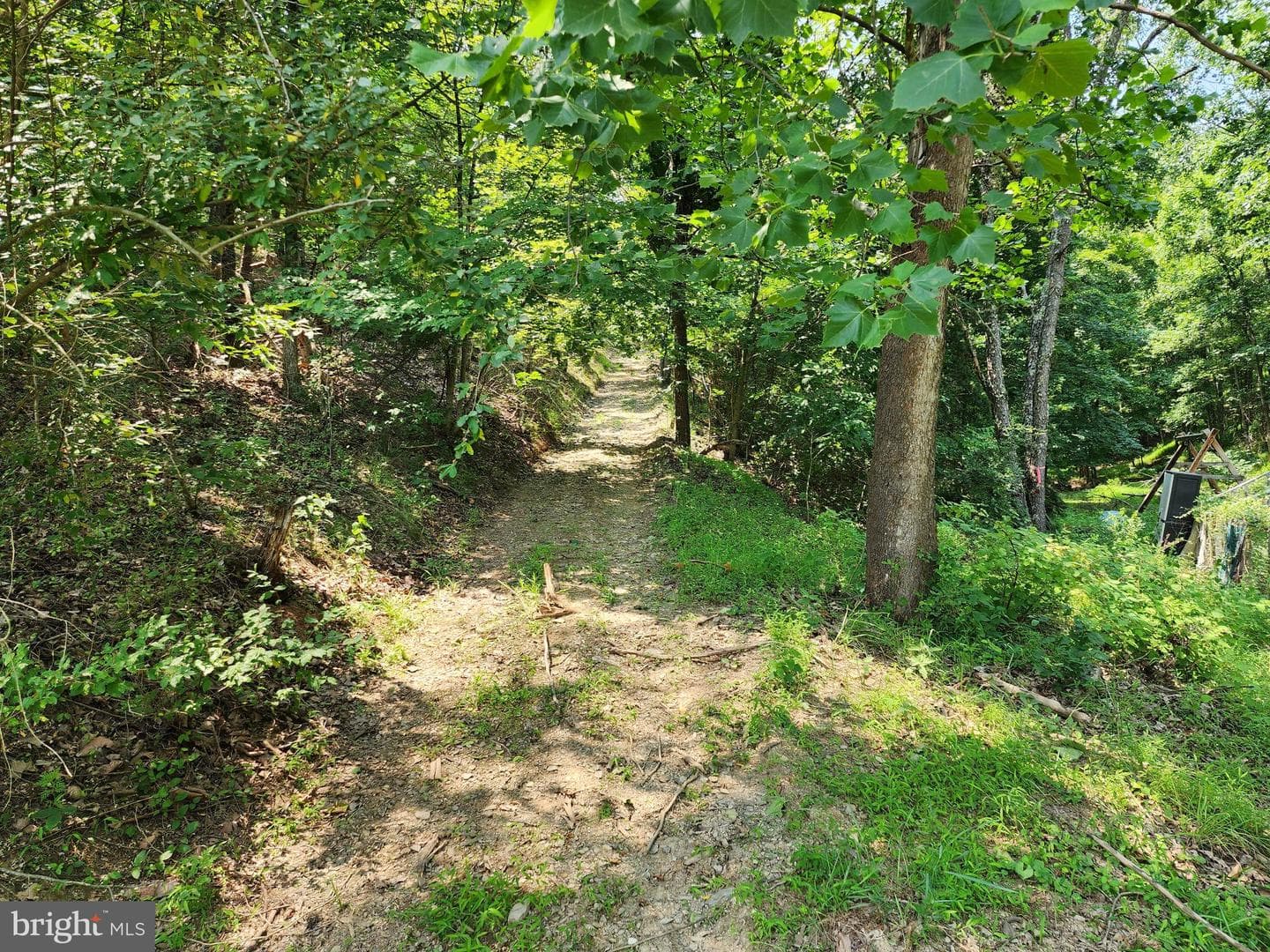 4078 Purgitsville Pike photo 54