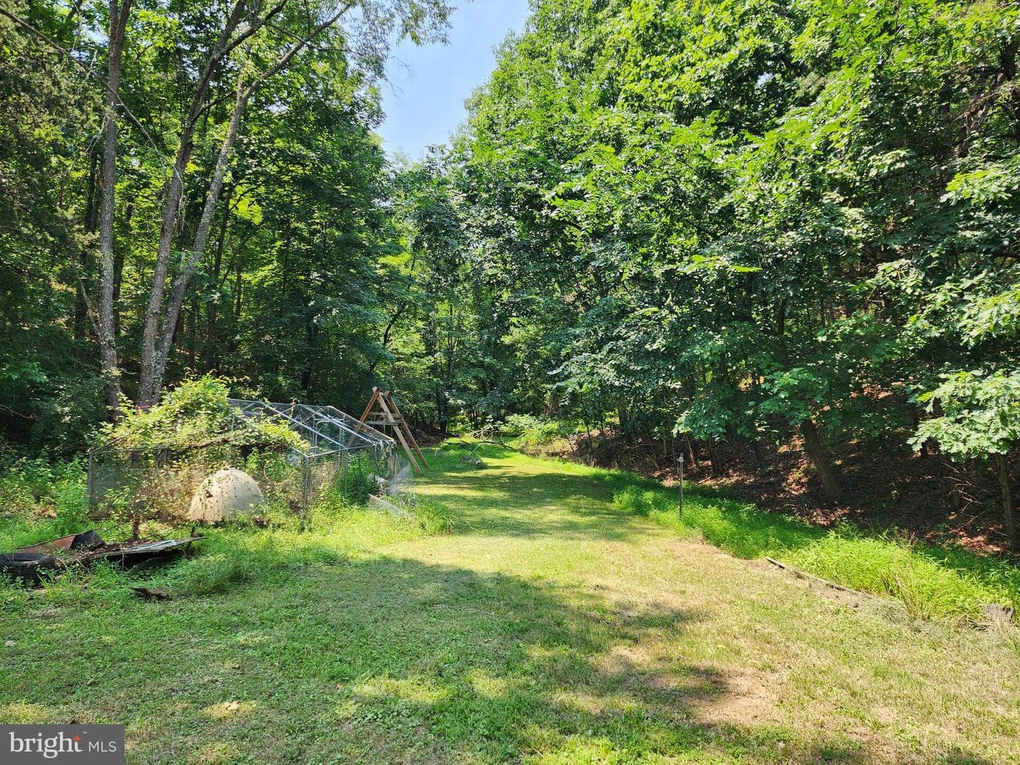 4078 Purgitsville Pike photo 55