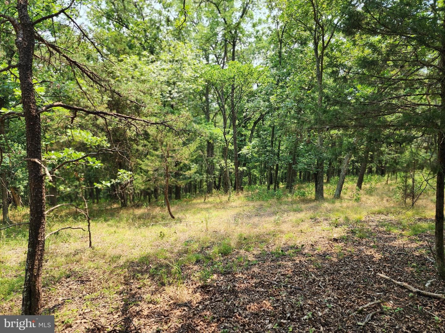 4078 Purgitsville Pike photo 58