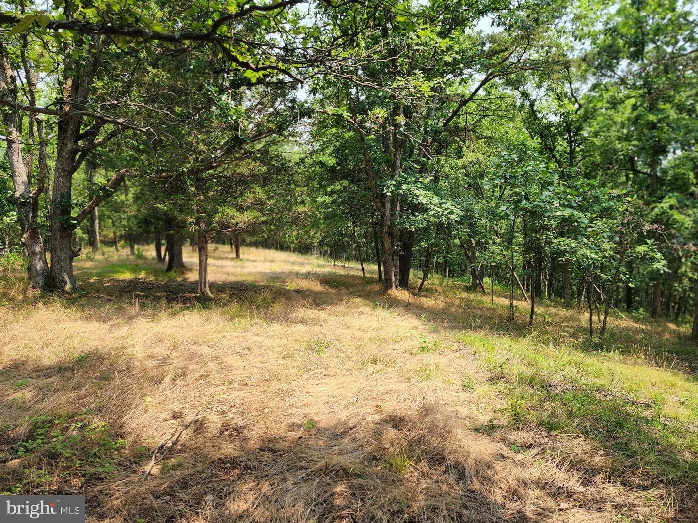 4078 Purgitsville Pike photo 59