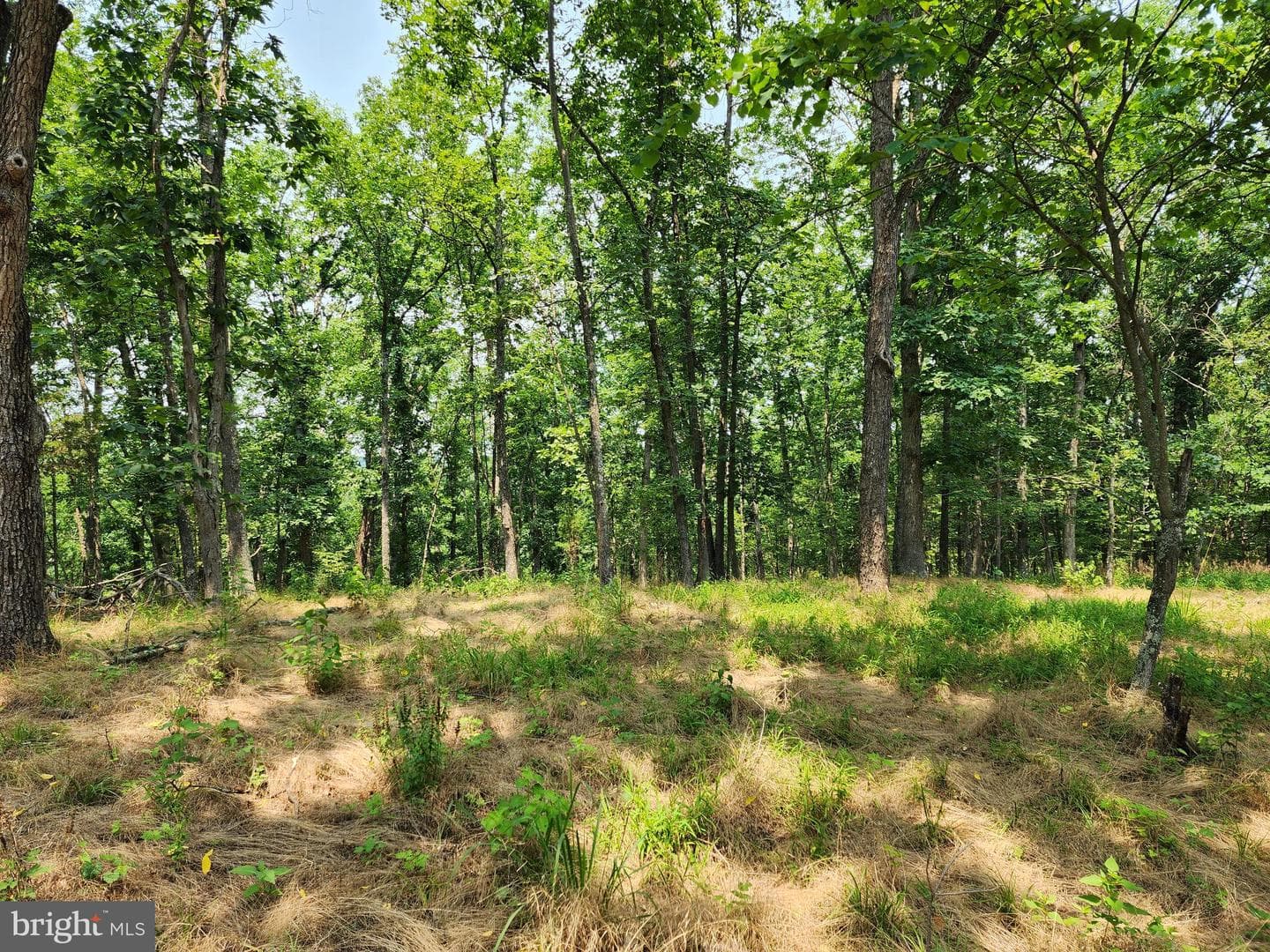 4078 Purgitsville Pike photo 61