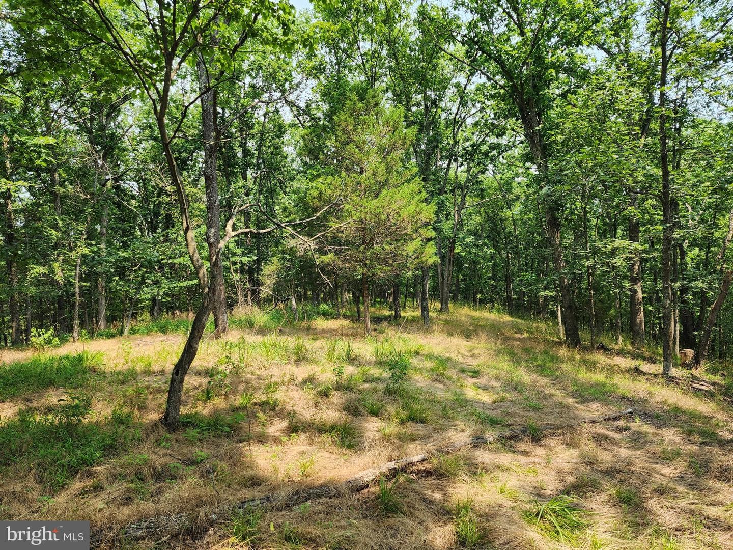 4078 Purgitsville Pike photo 62