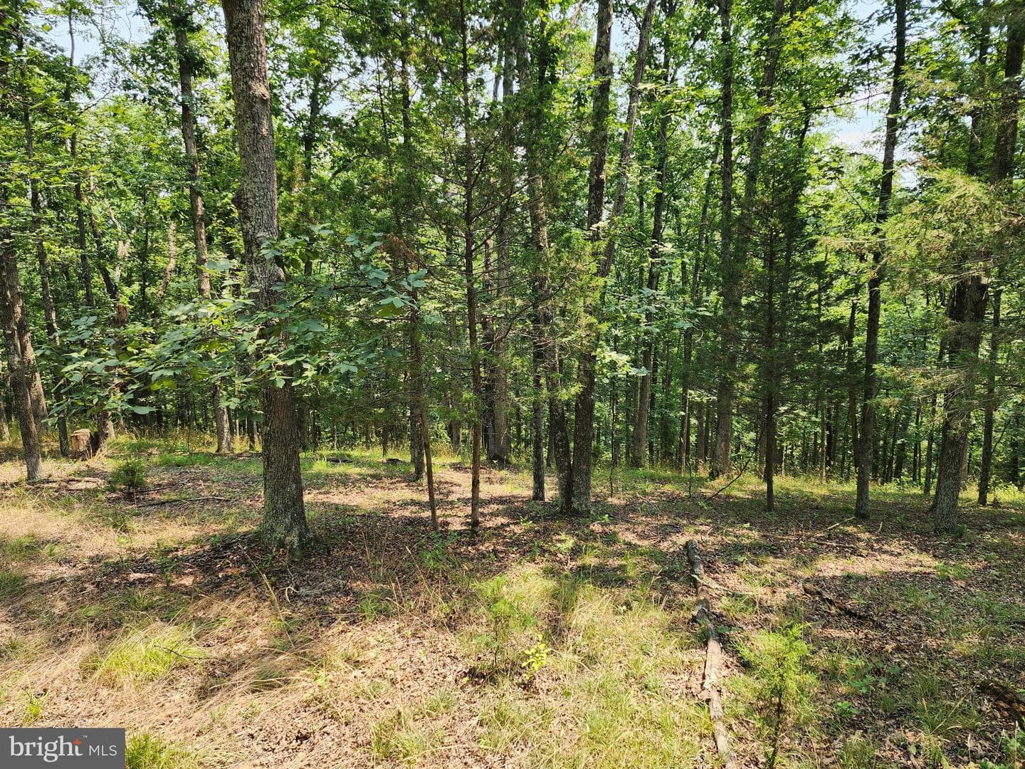 4078 Purgitsville Pike photo 63
