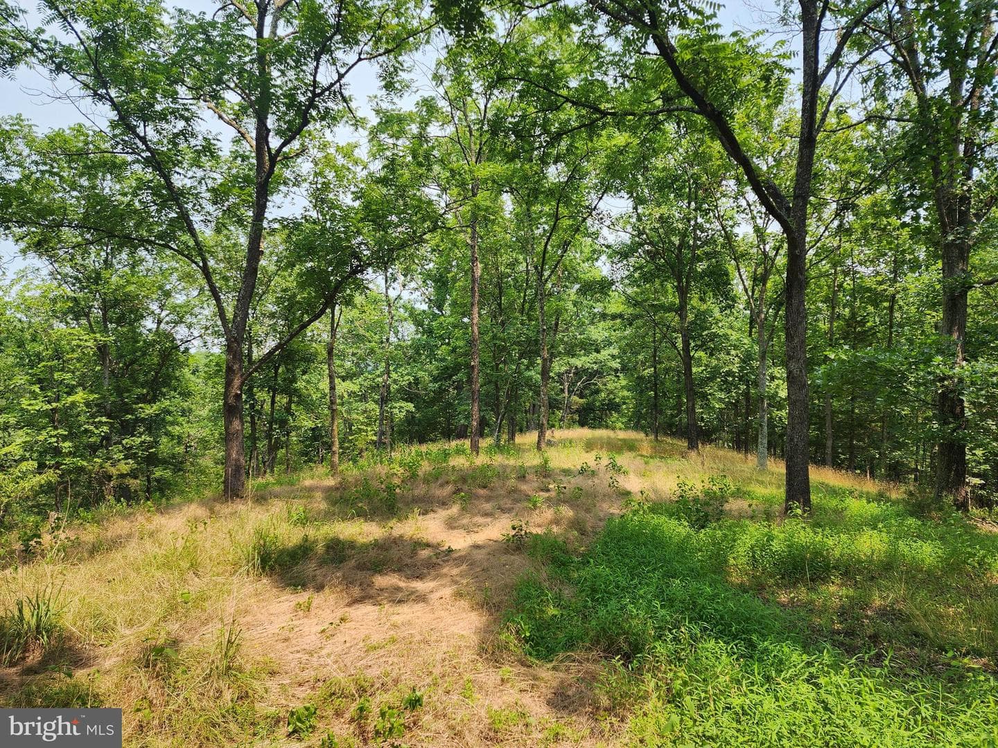 4078 Purgitsville Pike photo 65