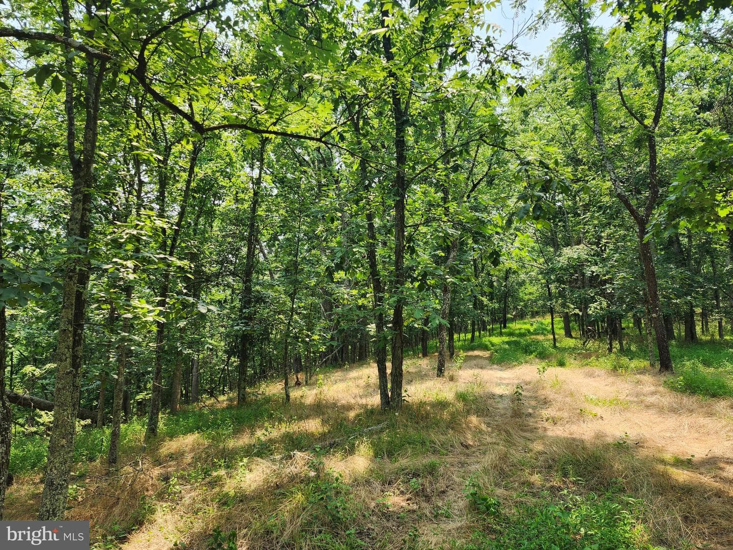 4078 Purgitsville Pike photo 66