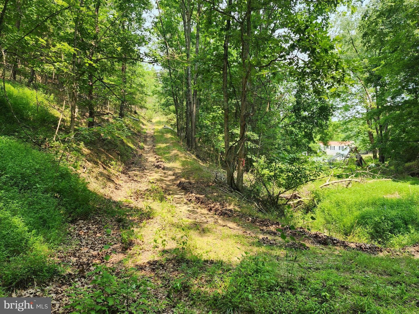 4078 Purgitsville Pike photo 71