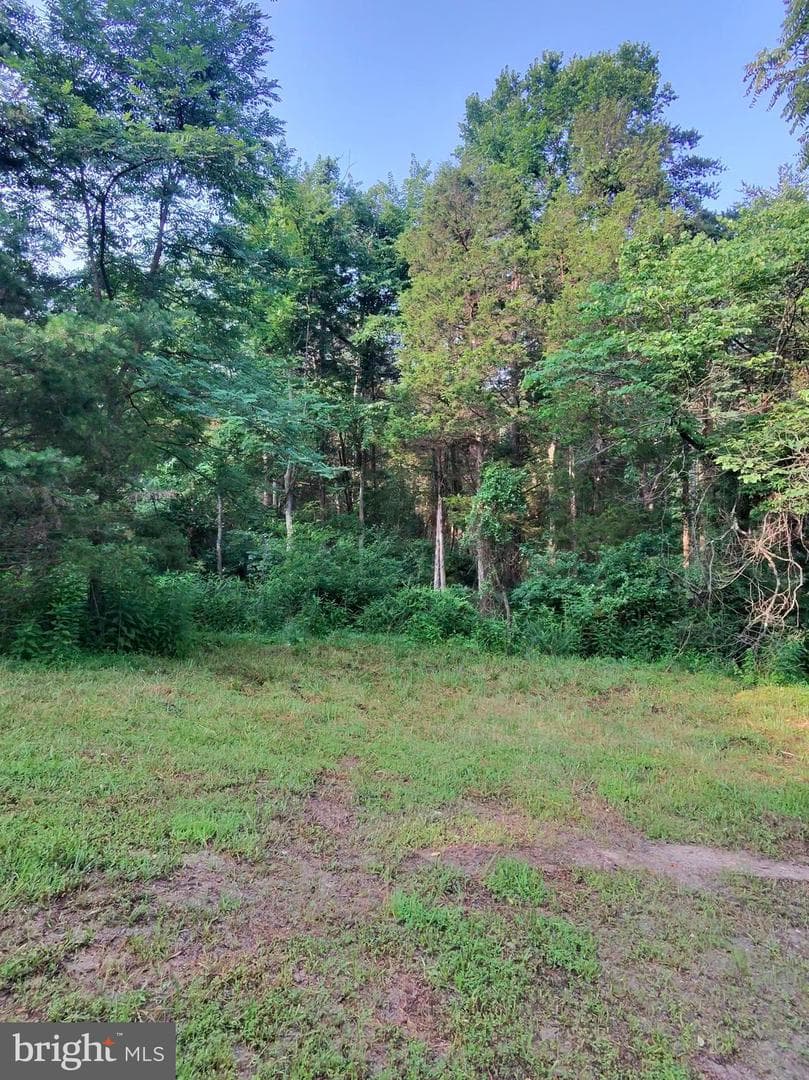 3300 Foxes Hollow Road photo 16