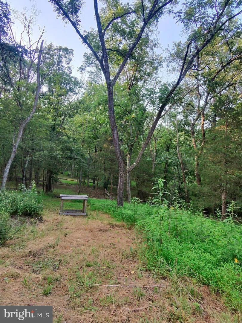 3300 Foxes Hollow Road photo 17