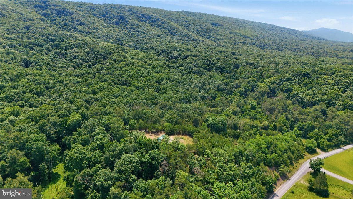 3300 Foxes Hollow Road photo 46