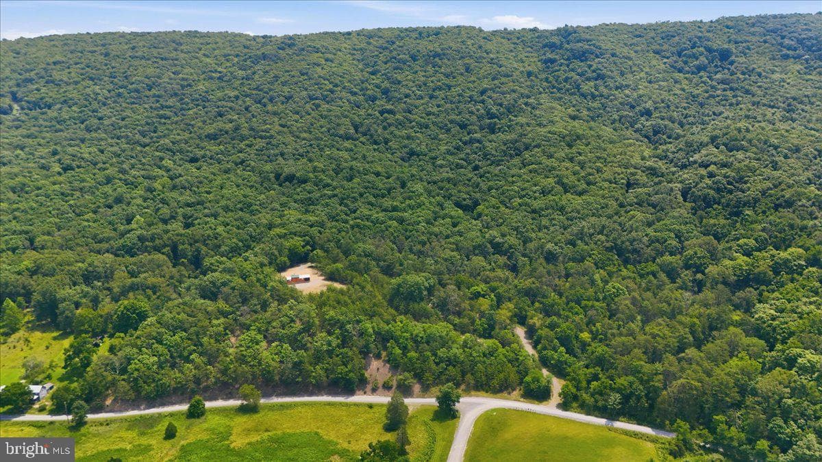 3300 Foxes Hollow Road photo 59