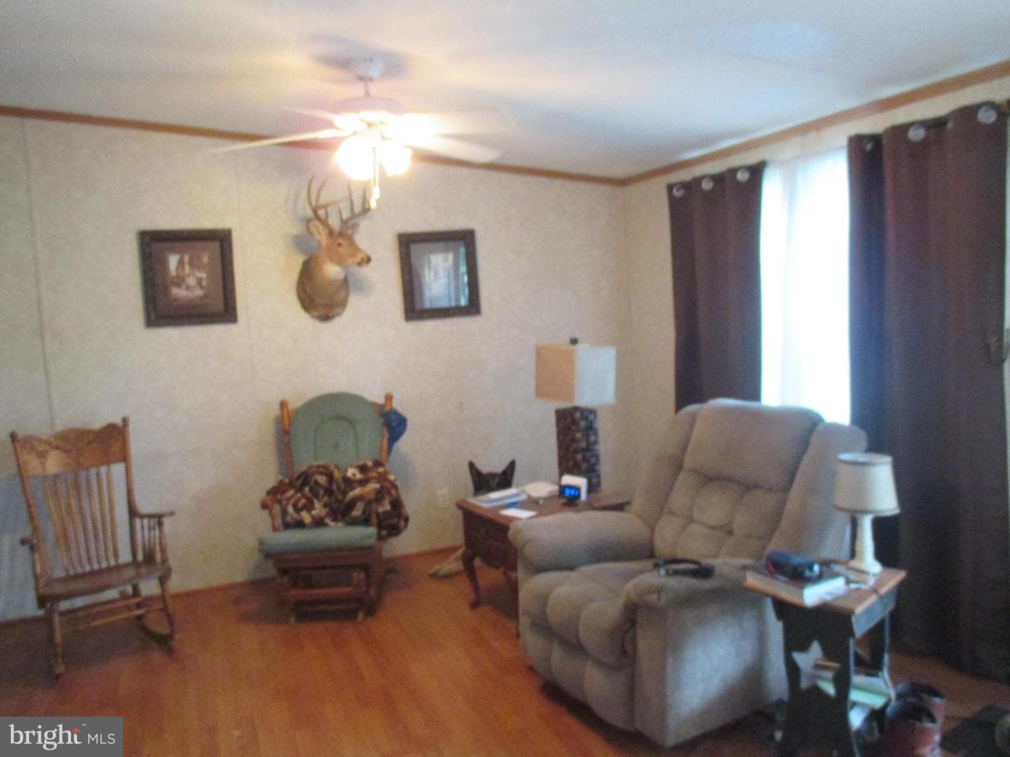 390 Spirit Lane photo 10