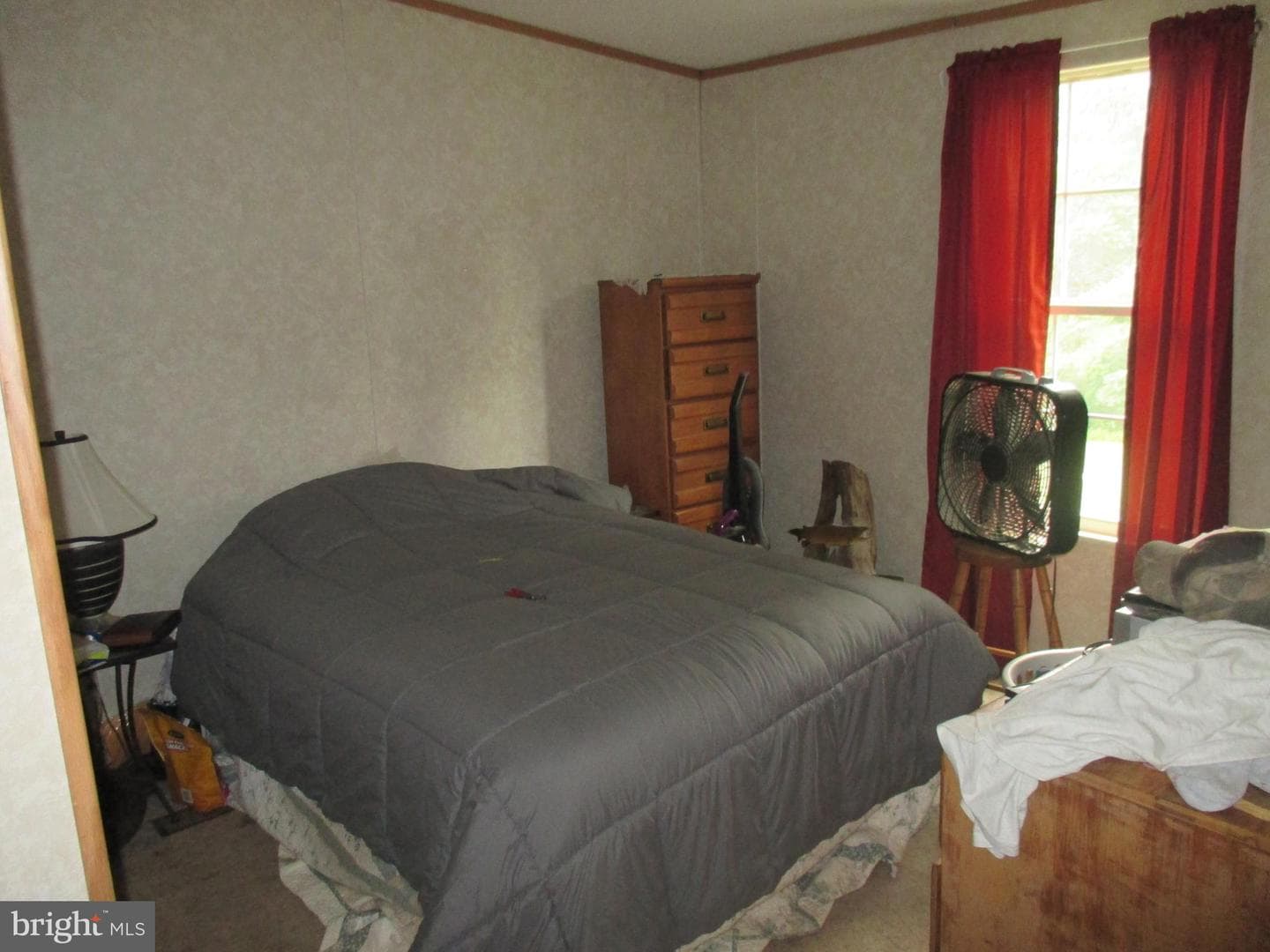 390 Spirit Lane photo 23