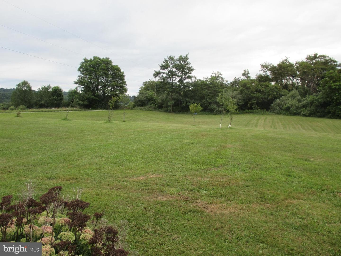 390 Spirit Lane photo 4
