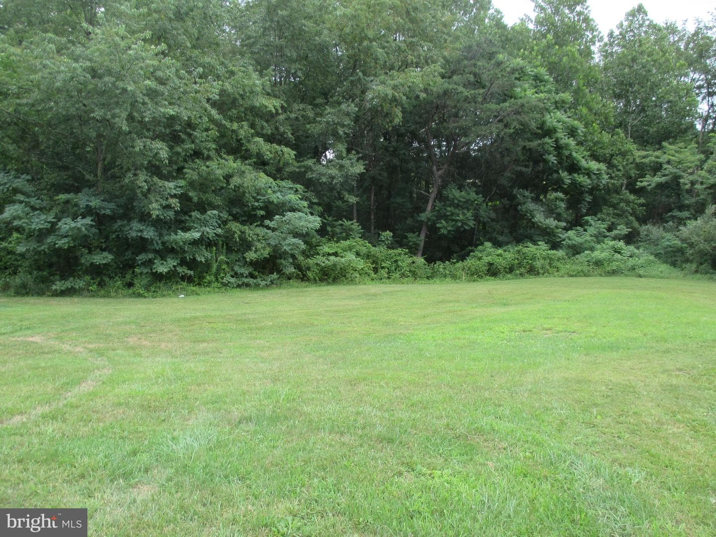 390 Spirit Lane photo 6