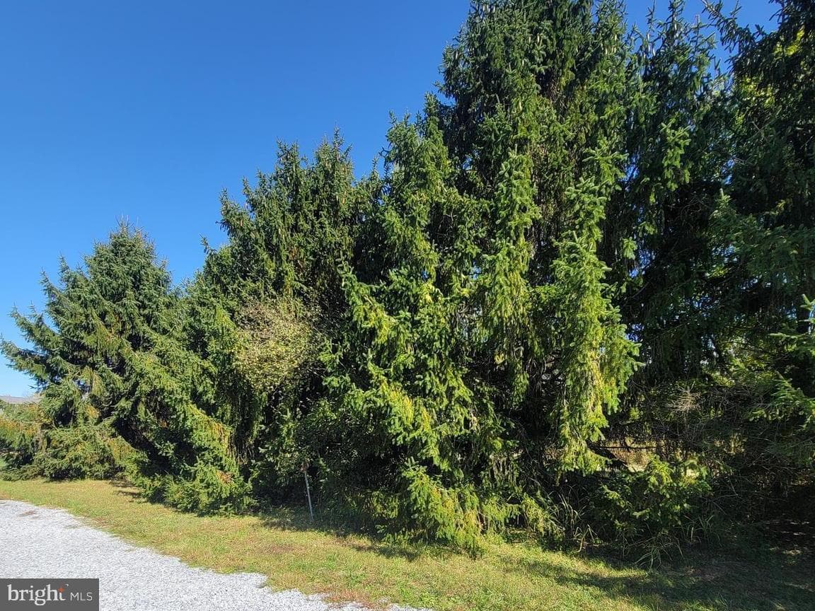 149 Pleasant Acres Court photo 41
